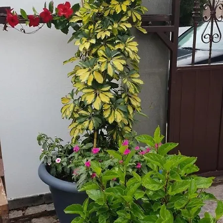 House With One Bedroom In Nazaret, With Enclosed Garden And Wifi - 15 Km From...